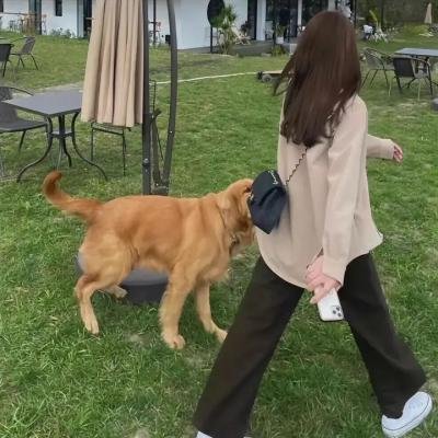 全心交融