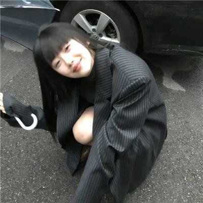 野雏菊